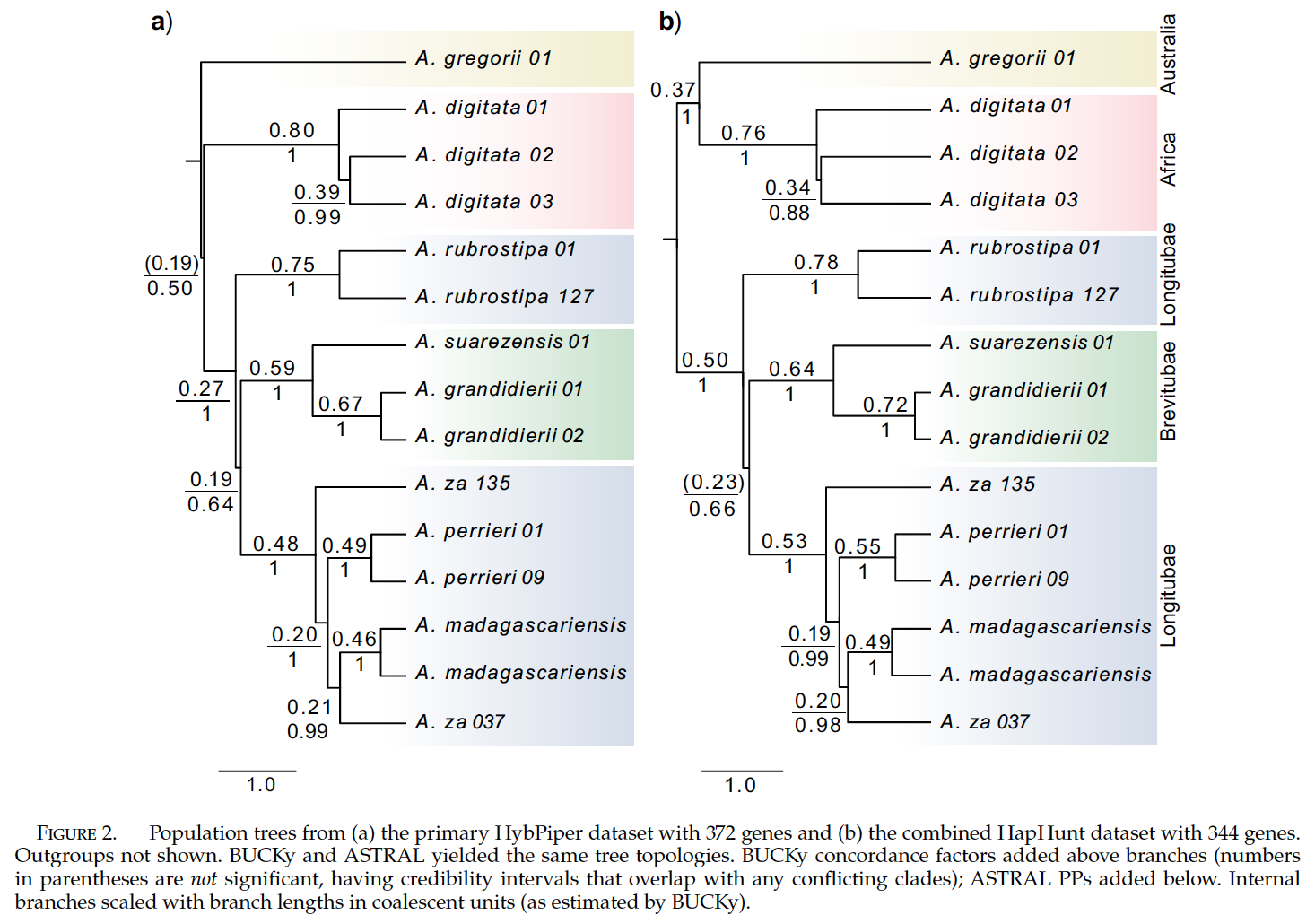 Karimi et al. 2020 - Fig. 2