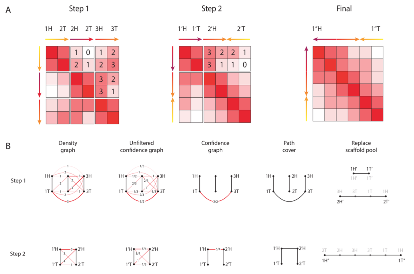 Dudchenko et al. 2017 Fig. S6